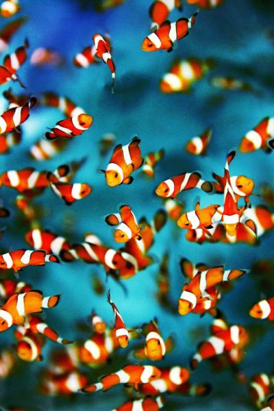 Wie richtest du deinen Blog optimal darauf aus, dass Google dich findet?