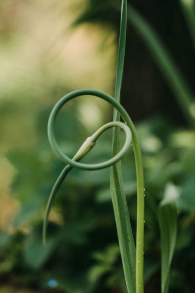 Fotografie in der Natur