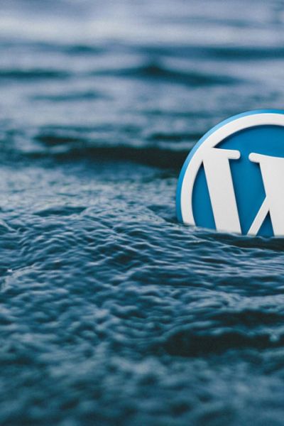 Entwicklung und Programmierung von Websites durch Know-How der Plug-In Möglichkeiten.