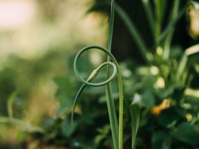 Fotografie in der Natur