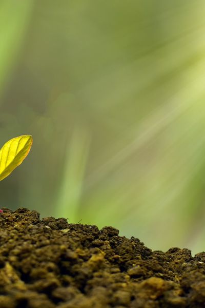 Wachstumsschub für deinen Blog