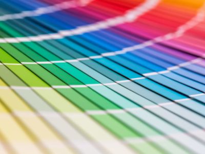 Wie du in Schaffhausen den passenden Anbieter für Webdesign findest