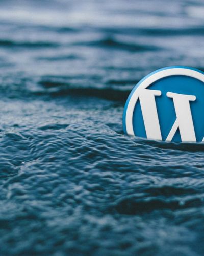 Entwicklung und Programmierung von Websites durch Know-How der Plug-In Möglichkeiten.