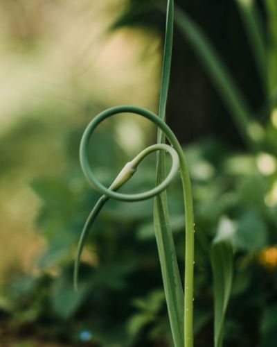 Fotografie in der Natur