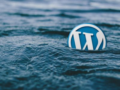 Entwicklung und Programmierung von Websites durch Know-How der Plug-In Möglichkeiten.